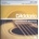 D'addario EJ19