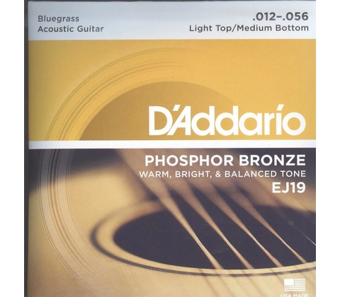 D'addario EJ19