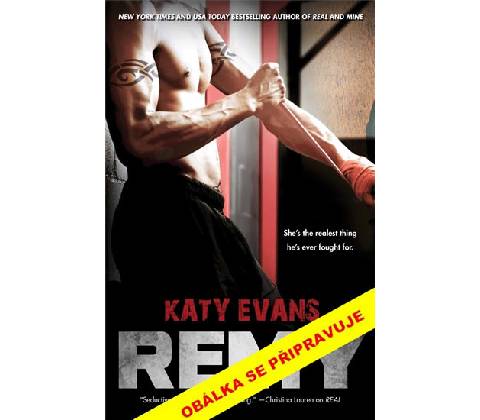 Remy - Katy Evans