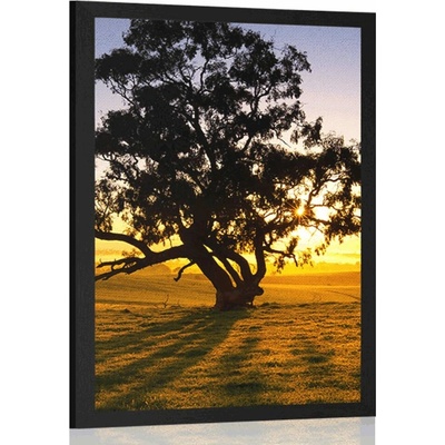 Plakát osamělý strom při západu slunce - 40x60 no frame