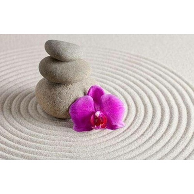 Impol Trade 146VE vliesová fototapeta wellness orchidej 310 cm x 219 cm
