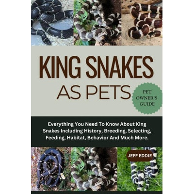 King Snakes as Pets | JEFF EDDIE, JEFF EDDIE