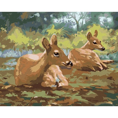 zuty Malování Podle Čísel Ležící Srny D. Rusty Rust 40 x 50 Cm Plátno