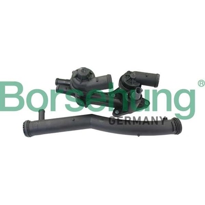 Termostat, chladivo BORSEHUNG B19086