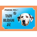 Dafiko Tabulka dalmatin