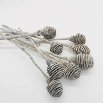 Platyspernum stone washed - 20 ks