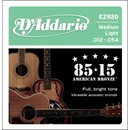 DAddario EZ920