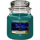 Yankee Candle Winter Night Stars 411 g