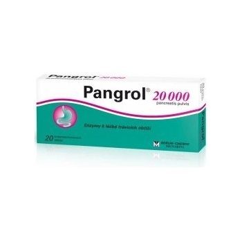 Pangrol 20 000 tbl.ent. 100 x 20 000