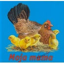 Moja mama - Andrzej Kłapyta