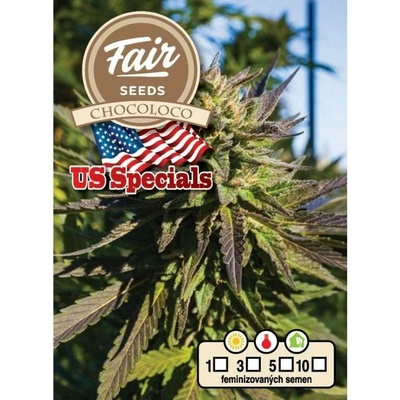 Fair Seeds Chocoloco semena neobsahují THC 10 ks