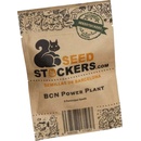 Seedstockers BCN Power Plant semena neobsahují THC 1 ks