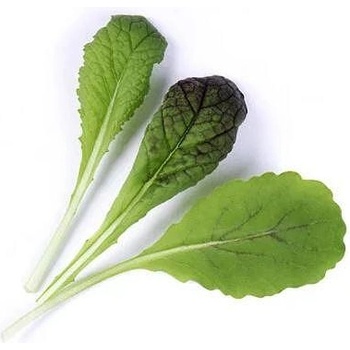 VÉritable (Франция) Пълнител (лингот) Red Giant Mustard Organic за настолна градина Véritable® - гигантска червена горчица (VLIN-J10-Mou01D)