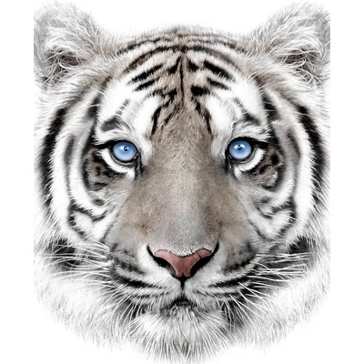 JERRY FABRICS Plyšová deka biely tyger