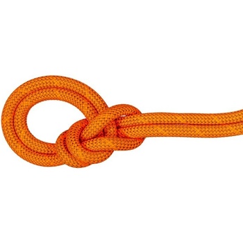 Mammut 9.8 Crag Dry Rope 60 m