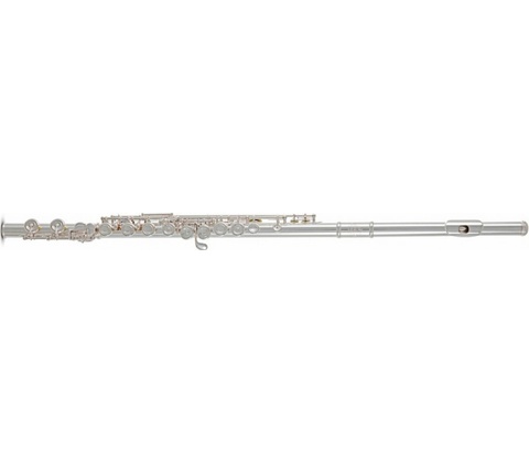 Roy Benson FL-602E