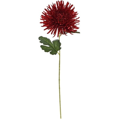 KS CHRYZANTÉMA BORDOVÁ 60CM