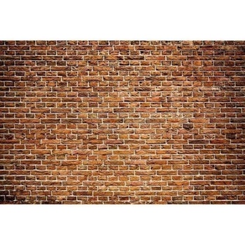 DIMEX ART Флизелинов фототапет стара тухлена стена 375 x 250 см