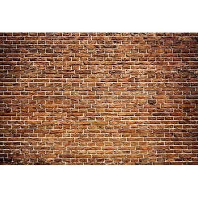 DIMEX ART Флизелинов фототапет стара тухлена стена 375 x 250 см