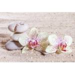 DIMEX ART Флизелинов фототапет дзен 375 x 250 см