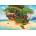 Castorland - Puzzle Art Collection: Summer Madeira - 1 000 piese