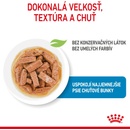 Royal Canin Maxi Puppy 10 x 140 g