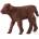 Animal Planet Mojo ANIMAL PLANET, Фигурка за игра и колекциониране, Теленце, планинско