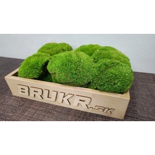 Stabilizovaný mach – Kopčekový - Ball moss - light green 10ks