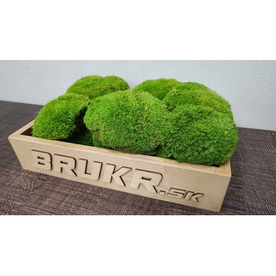 Stabilizovaný mach – Kopčekový - Ball moss - light green 10ks