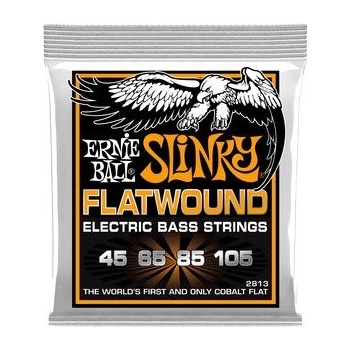 Ernie Ball 2813