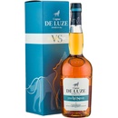 De Luze VS 40% 0,7 l (kartón)