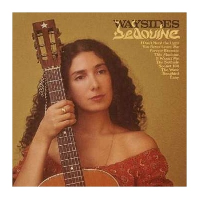 Bedouine - Waysides LP