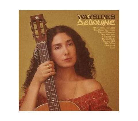 Bedouine - Waysides LP