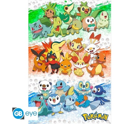 POKEMON - Poster Maxi 91.5x61 - First Partners, FP4971