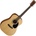 Cort AD810