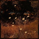 Szun Waves - Earth Patterns LP