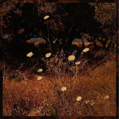 Szun Waves - Earth Patterns LP