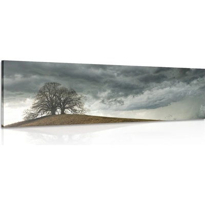Obraz osamělé stromy - 90x30