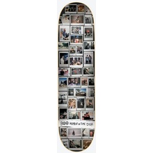 DGK Moments Boo