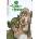El libro de la selva | DISNEY