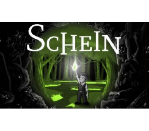Schein