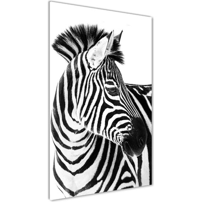 Vertikálny foto obraz sklenený Zebra na snehu 50x100 cm