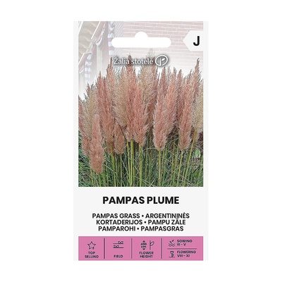 Seklos Пампаска трева Розова Cortaderia selloana Pampas plume