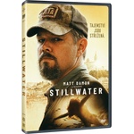 MagicBox Стилуотър - dvd (043453)
