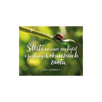 Sri Chinmoy Štěstí musíme zachytit v prchavých okamžicích života