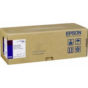 Epson C13S041742