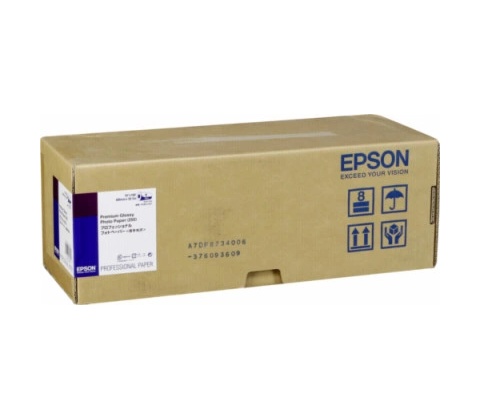 Epson C13S041742