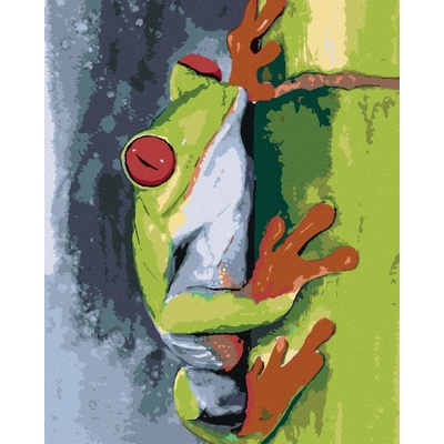 zuty Malování Podle Čísel Žába Na Bambusu 80 x 100 Cm Plátno Rám