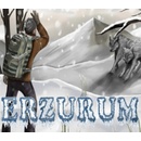 Erzurum