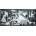 Educa - Puzzle Picasso mini - 1 000 piese